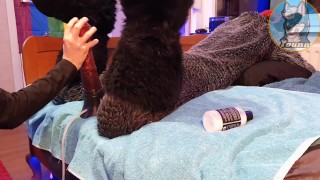 Large horse dildo inside a murrsuiter’s ass, and his butthole filled with his own piss