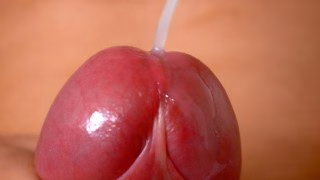 Beautiful Cock in Close Up /// Jordan Wilder