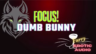 [Gay Furry Audio] Focus, Dumb Bunny!
