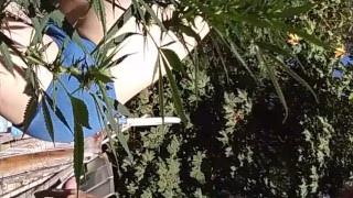 Suck&Fuck in  Garden