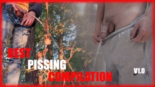 Public pissing compilation – Big Cock and balls, uncut