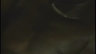 The Golden Age Of Gay Porn Black Sex Therapy – Scene 1 – Gentlemens Video