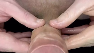 Blowjob Taker Pov simulated dick sucking